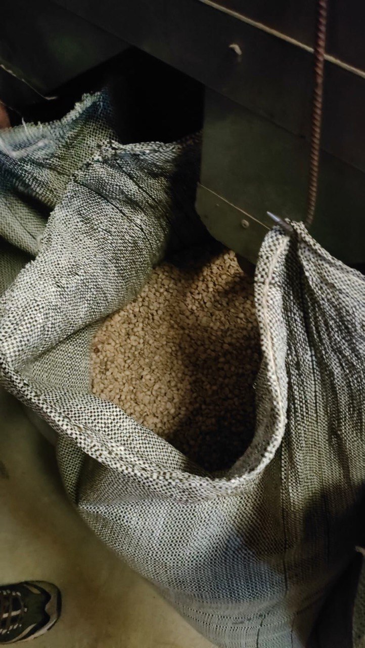 Мешок, наполненный зелёным кофе.